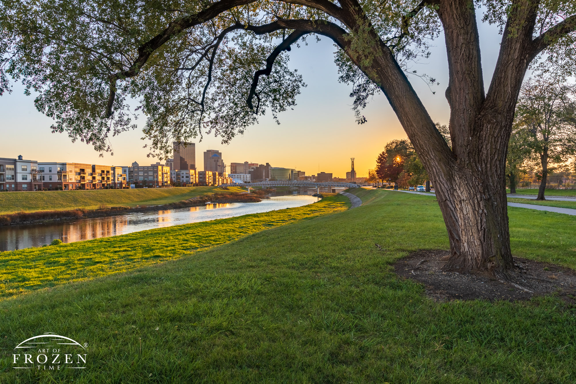 The Dayton Skyline compositionally framed by a mature tree along the Mad River as the evening sun paints the ground in golden light.