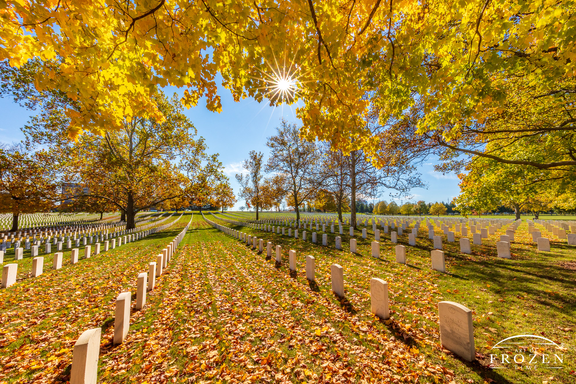 Panoramic image of Dayton National Cemetery on a colorful fall day where the backlit sun illuminated the golden leaves