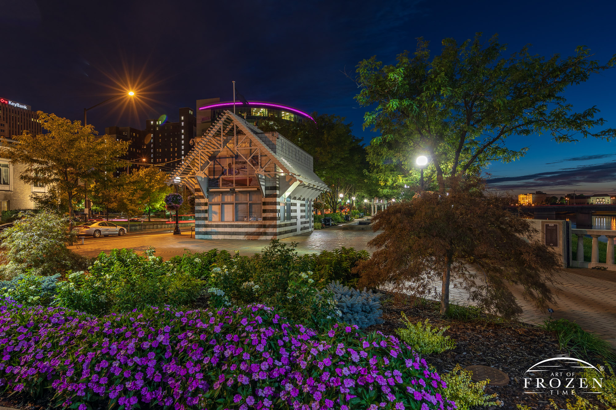 A nightscape scene from RiverScape MetroPark where purple foreground flowers match the background accent light as streetlights warmly illuminate the park plaza