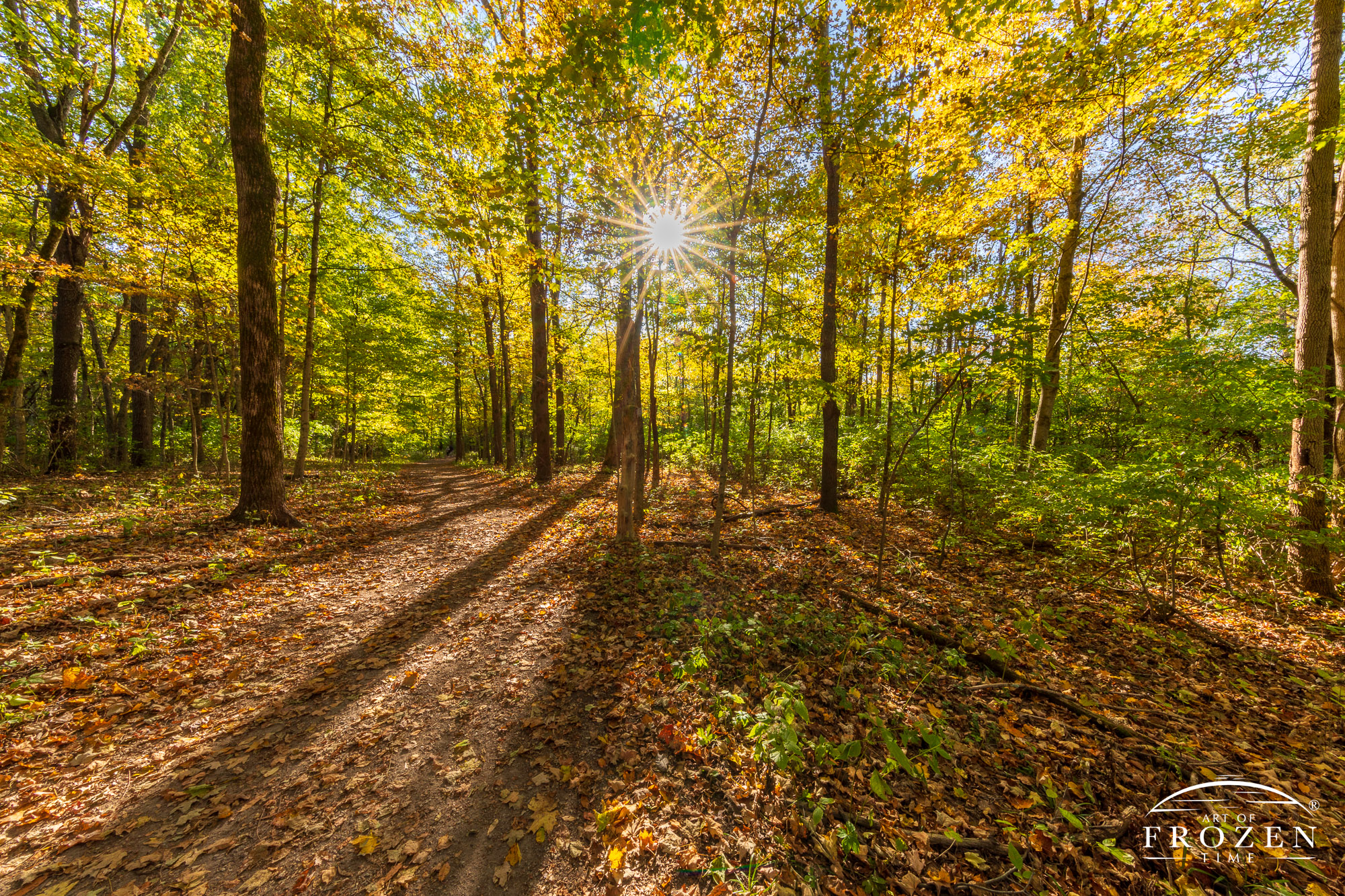 The warm autumn light illuminating the trail during an evening walk in Sugarcreek MetroPark