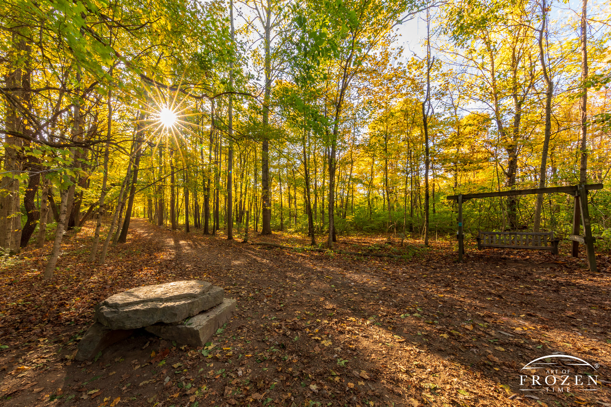 A stone resting spot at the foot of a trail extending through the forest during an autumn sunset