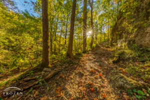 A Clifton Gorge trail aligned with the setting sun where the golden light rakes across the pathway out of the gorge.