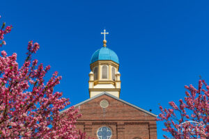 A close up view of the University of Dayton Chapel of the Immaculate Conception as it proudly stands under a clear blue sky and surrounded by blooming pink trees.