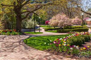 A paved University of Dayton walkway meanders among spring flowers and blossoming trees