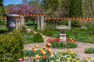 A springtime view of the arbor gardens at Wegerzyn Garden MetroPark where the central path moves through the image at an obloquy angle while surrounded by tulips in the bright sun