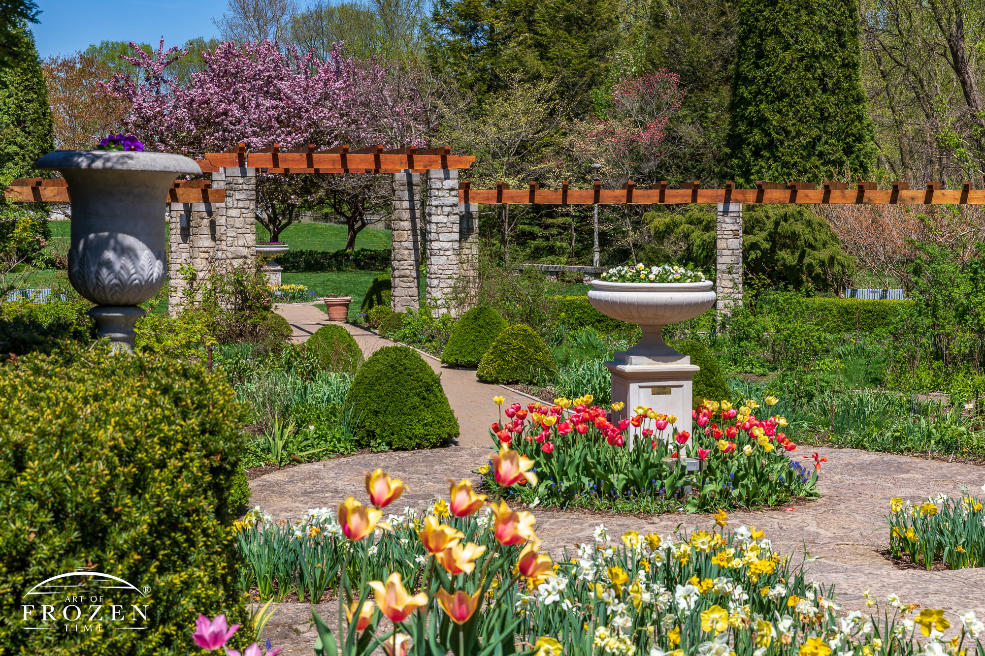 A springtime view of the arbor gardens at Wegerzyn Garden MetroPark where the central path moves through the image at an obloquy angle while surrounded by tulips in the bright sun