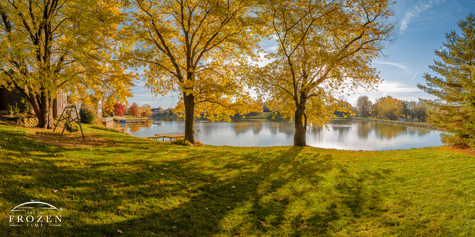 A backyard view featuring a three mature silver maple trees and a dock extending into a small pond, where the autumn sun backlit the bright yellow leaves.