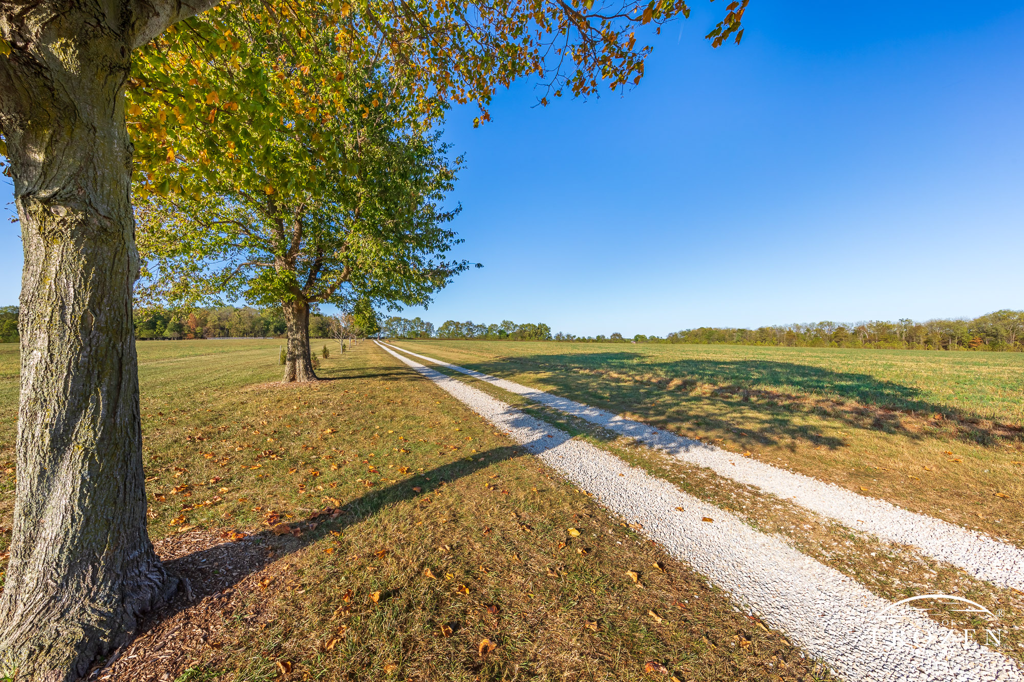 A country lane leads that the eye to the distant horizon while presenting the viewer autumn composition of changing leaves under blue skies