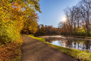 A paved walking path in Tawawa Park as the trail follows the meandering Tawawa Creek on a pretty fall evening where the low-angled sunlight basks the pathway in golden light