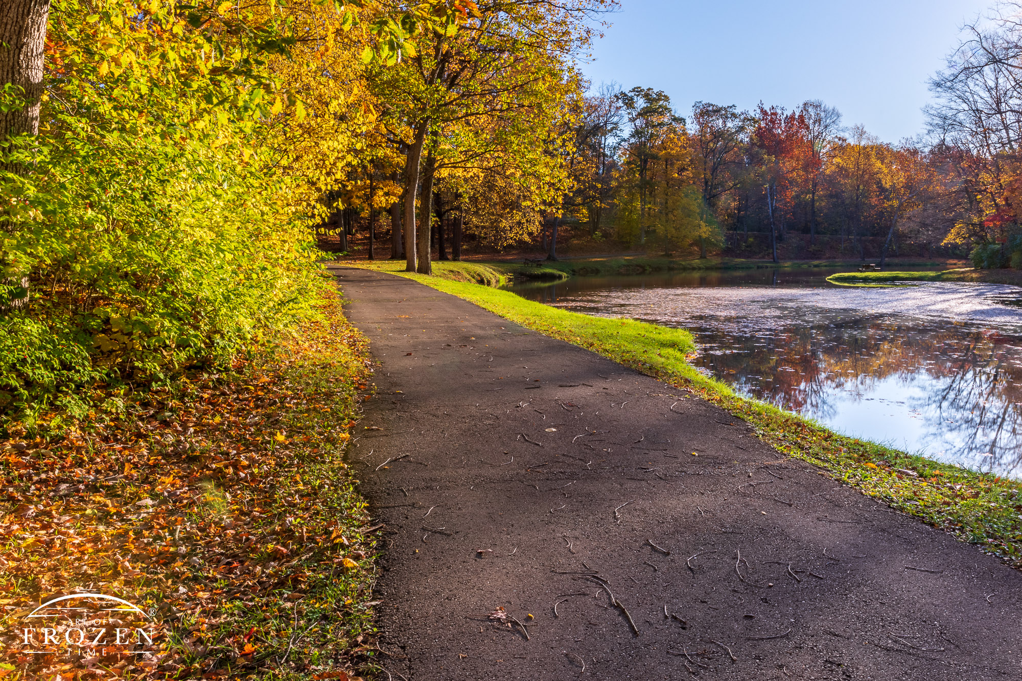 A paved walking path in Tawawa Park as the trail follows the meandering Tawawa Creek on a pretty fall evening where the low-angled sunlight basks the pathway in golden light