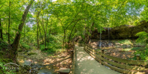 A 37-foot waterfall nestled in the forest trees of Charleston Falls Preserve