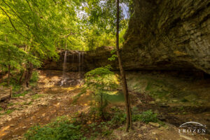 A 37-foot waterfall nestled in the forest trees of Charleston Falls Preserve