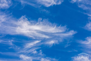 A view of wispy cirrus clouds being shaped by high altitude winds that below adjacent clouds into feathery streaks of vapor.
