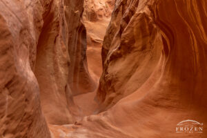 Dry Fork Slot Canyon where erosion created interesting flowing shapes in the Navajo Sandstone that play with light and shadows