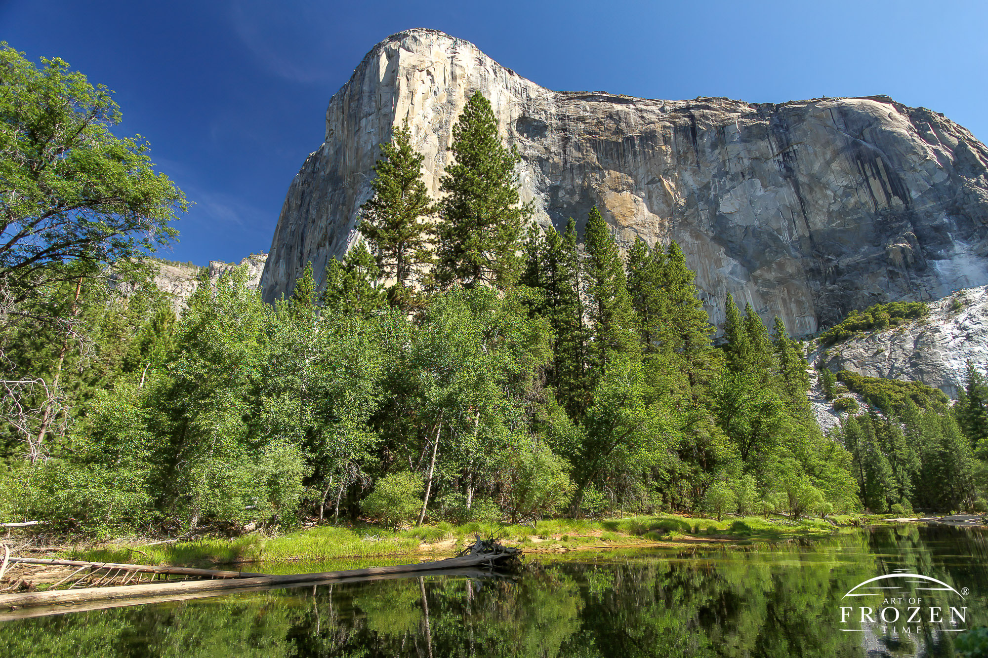 Brightly lit El Capitan on a summer day under blue azure skies and the calm Merced River reflects the scene