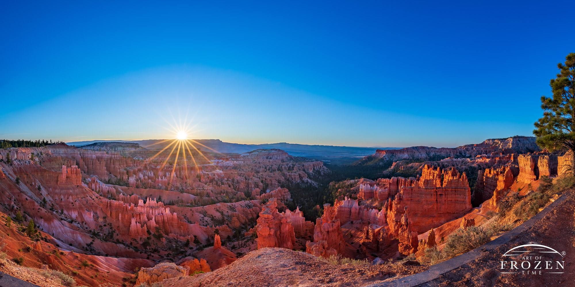 Bryce Canyon National Park Panorama at sunrise where warm light washes over the orange-colored sandstone hoodoos