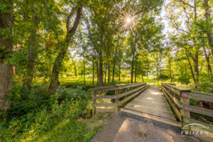 A wood bridge spanning a small creek as the surrounding trees filter the summer morning light.