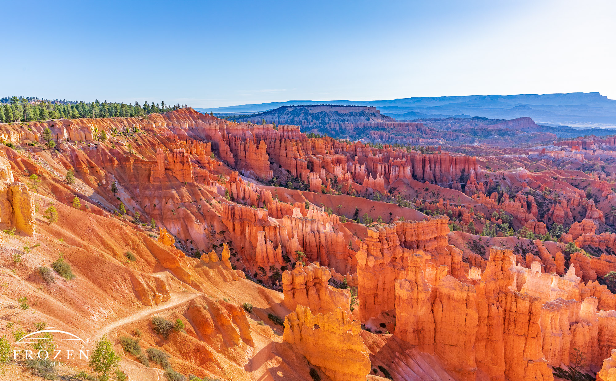 A wind angle view of Bryce Canyon capturing the vastness of the natural amphitheater as seen from the canyon rim during a summer sunrise