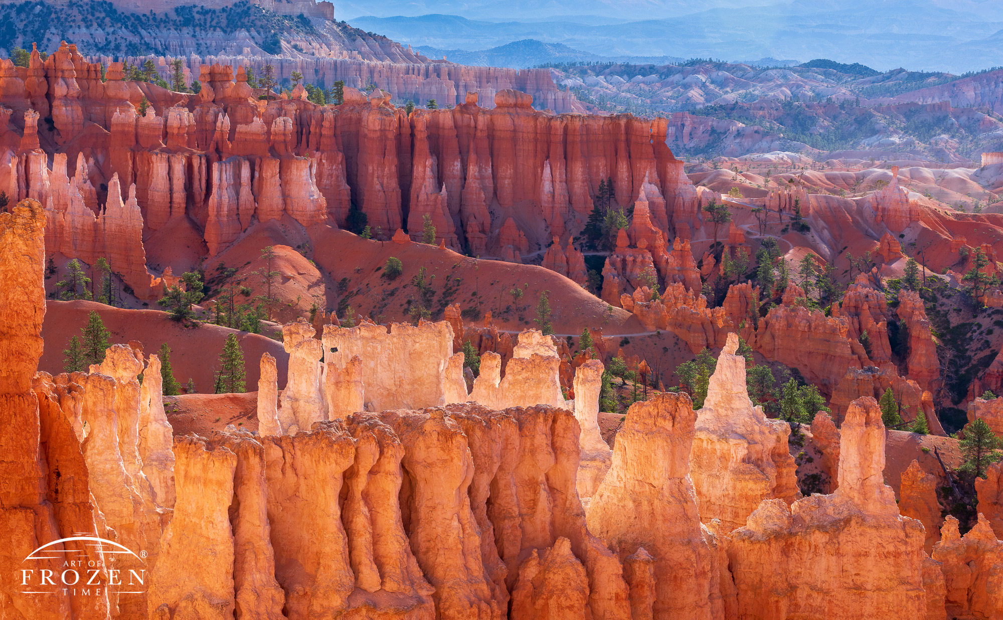 A telephoto view of Bryce Canyon hoodoos illuminated as the rising sun rakes light across their red and white sandstone layers.