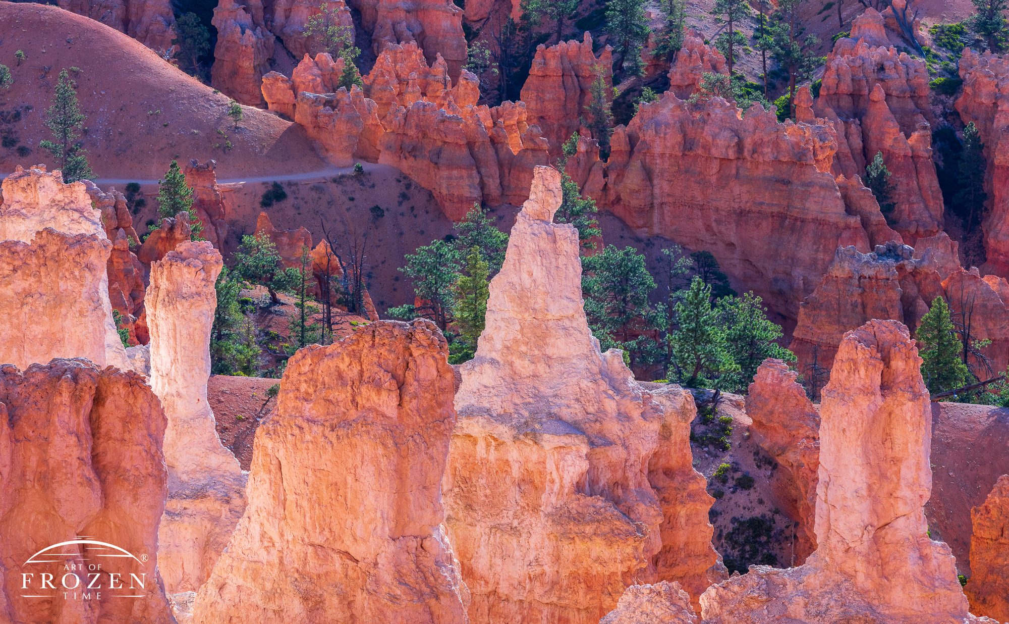 A telephoto view of Bryce Canyon hoodoos illuminated as the rising sun rakes light across their red and white sandstone layers.