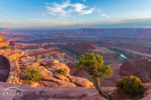 An evening view from Dead Horse Point, near Moab Utah were the golden evening light rakes across the Jurassic sedimentary layers revealed by the Colorado River