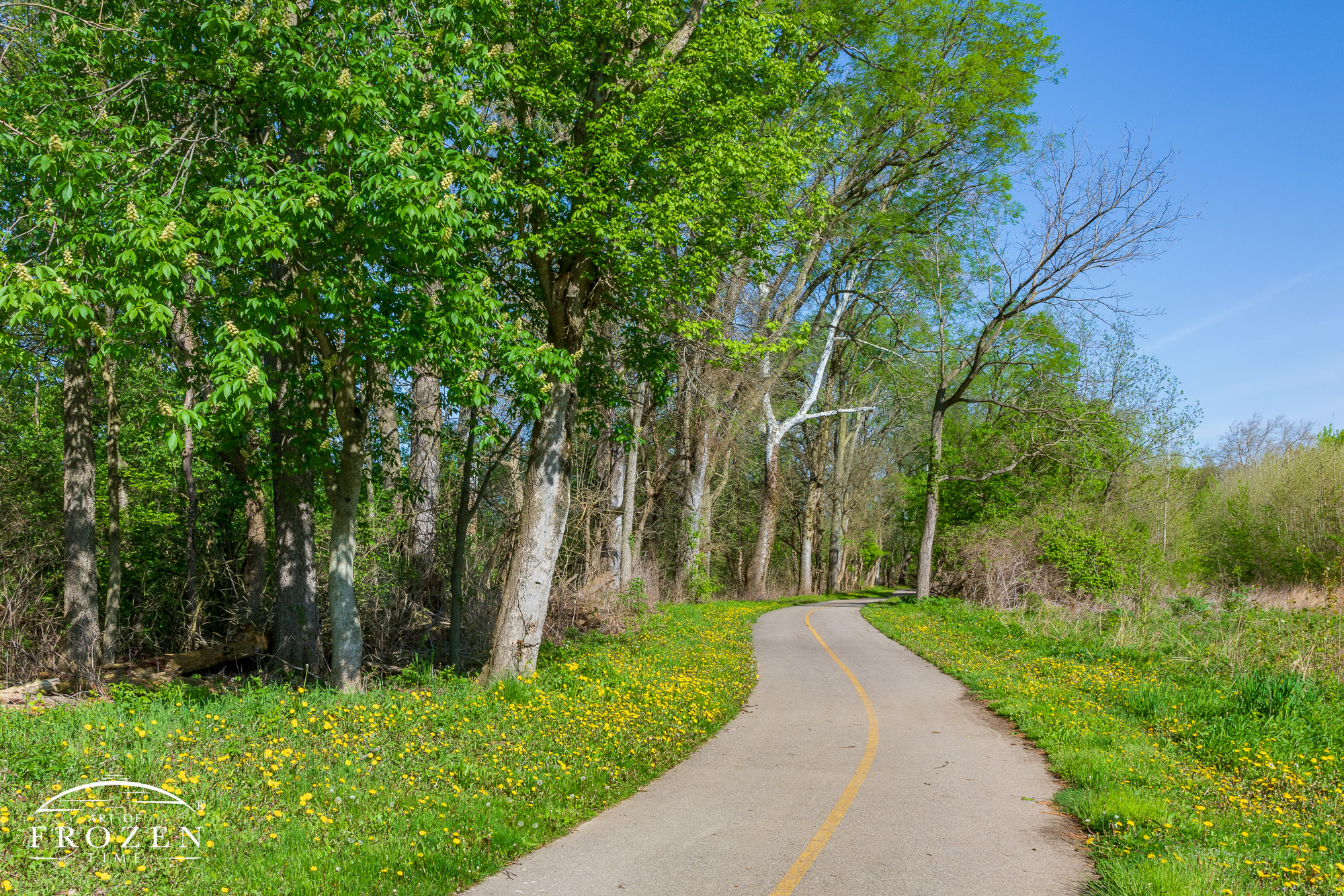 A series of s-turns on the Great Miami River Recreational Trail as it approaches the river on a bright, sunny spring day