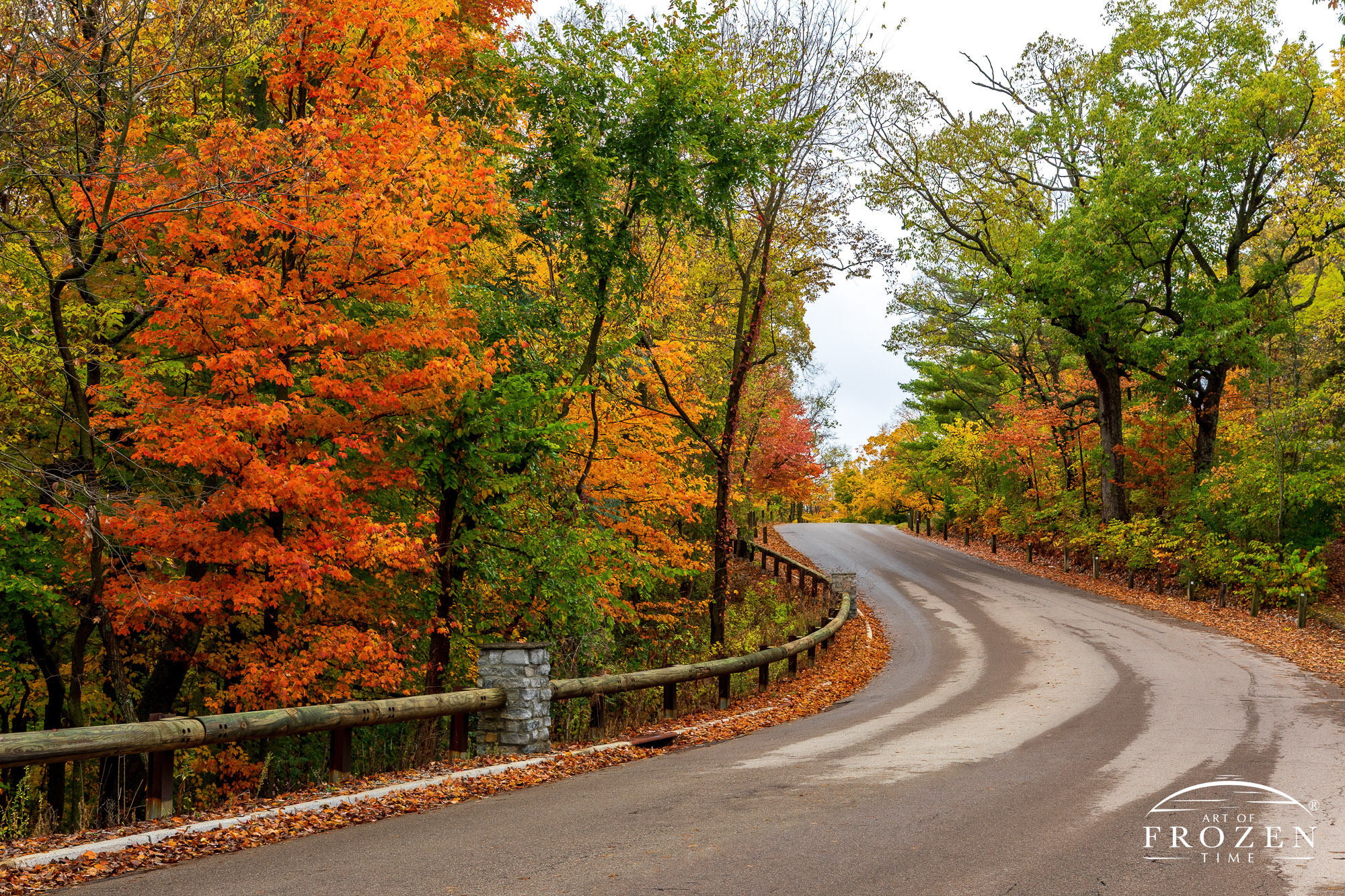 A country road winds its way through a forest during autumn where the trees display vivid fall colors