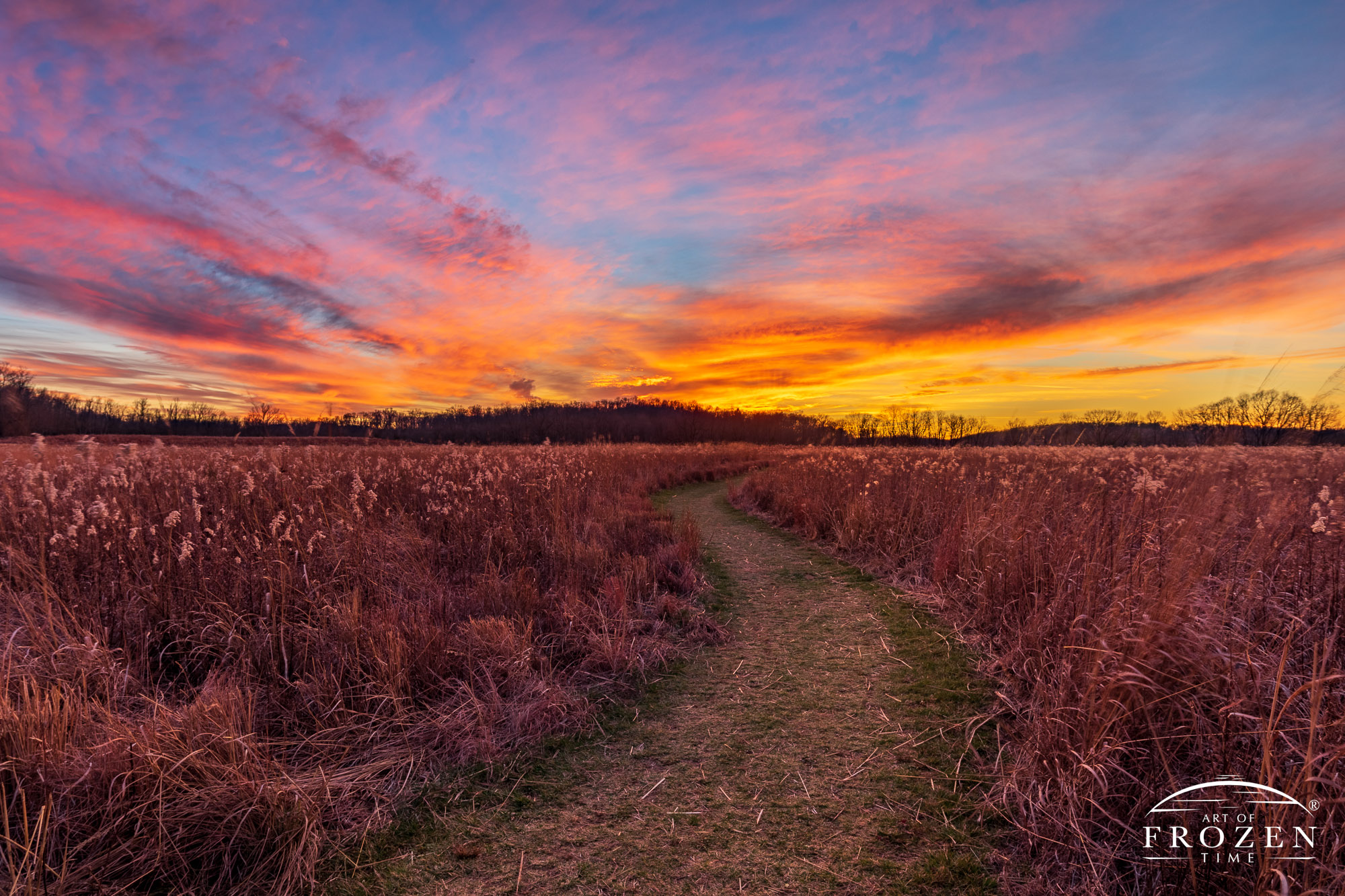 A meandering trail leads the viewer through an Ohio tall-grass prairie towards a colorful sunset on a late fall evening