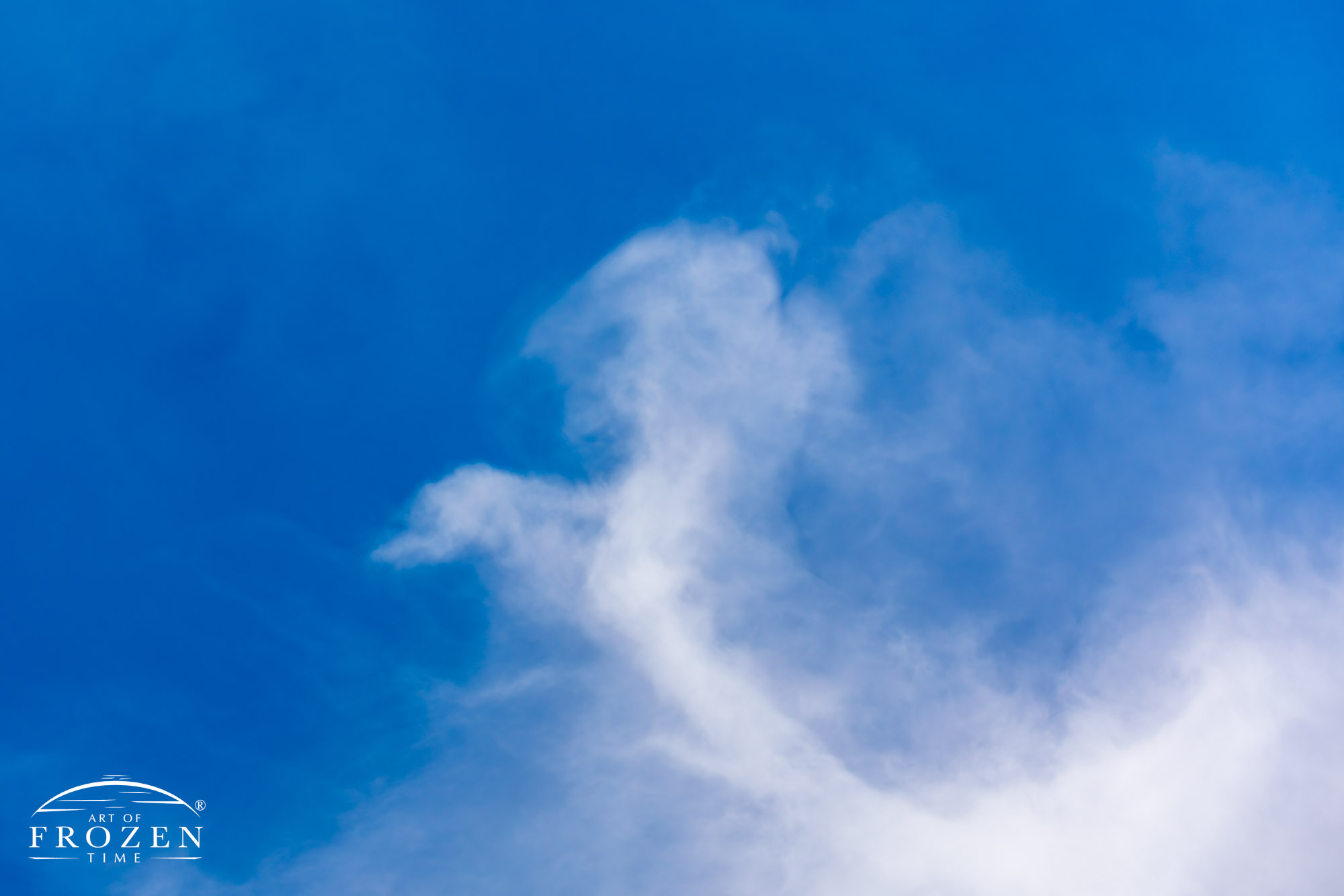 A telephoto view of a cirrus clouds which formed an interesting shape against the blue sky.