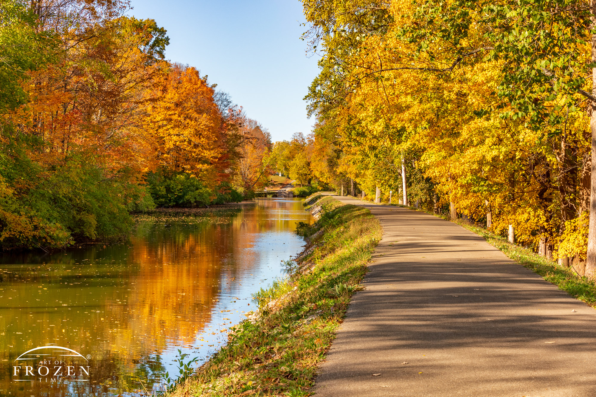 A tree-lined paved trail parallels Piqua Ohio’s Hydraulic Canal Run in autumn where the sun illuminated the autumn-colored leaves