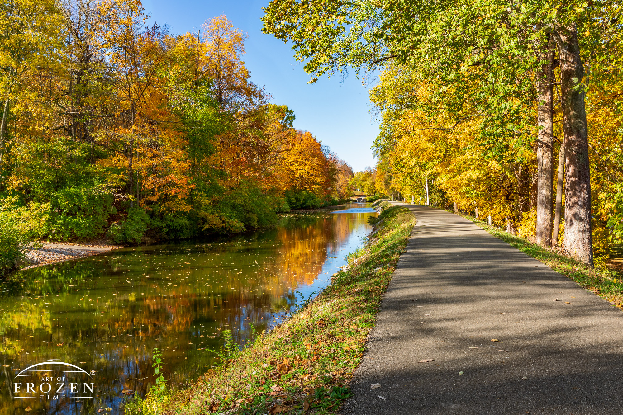 A tree-lined paved trail parallels Piqua Ohio’s Hydraulic Canal Run in autumn where the sun illuminated the autumn colored leaves