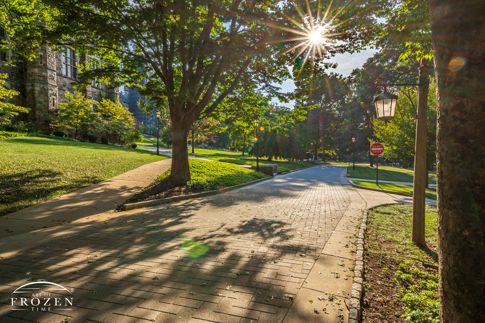 Memorial Walk on Lehigh University is a wide pedestrian avenue lined sculptures and trees which on this evening gently filtered the golden sunlight