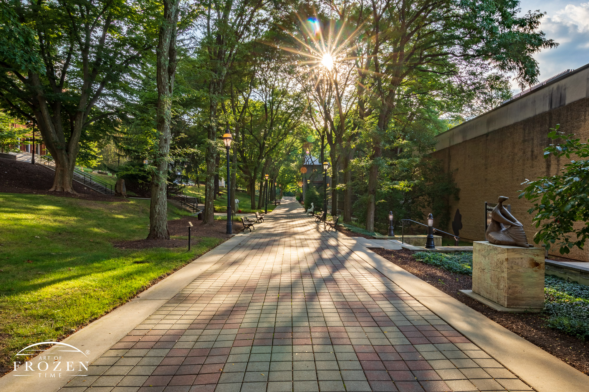 Memorial Walk on Lehigh University is a wide pedestrian avenue lined sculptures and trees which on this evening gently filtered the golden sunlight