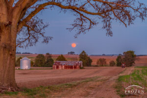 A framed composition using an old tree capturing an October full moon as it rises above a St Clair County Illinois farm.