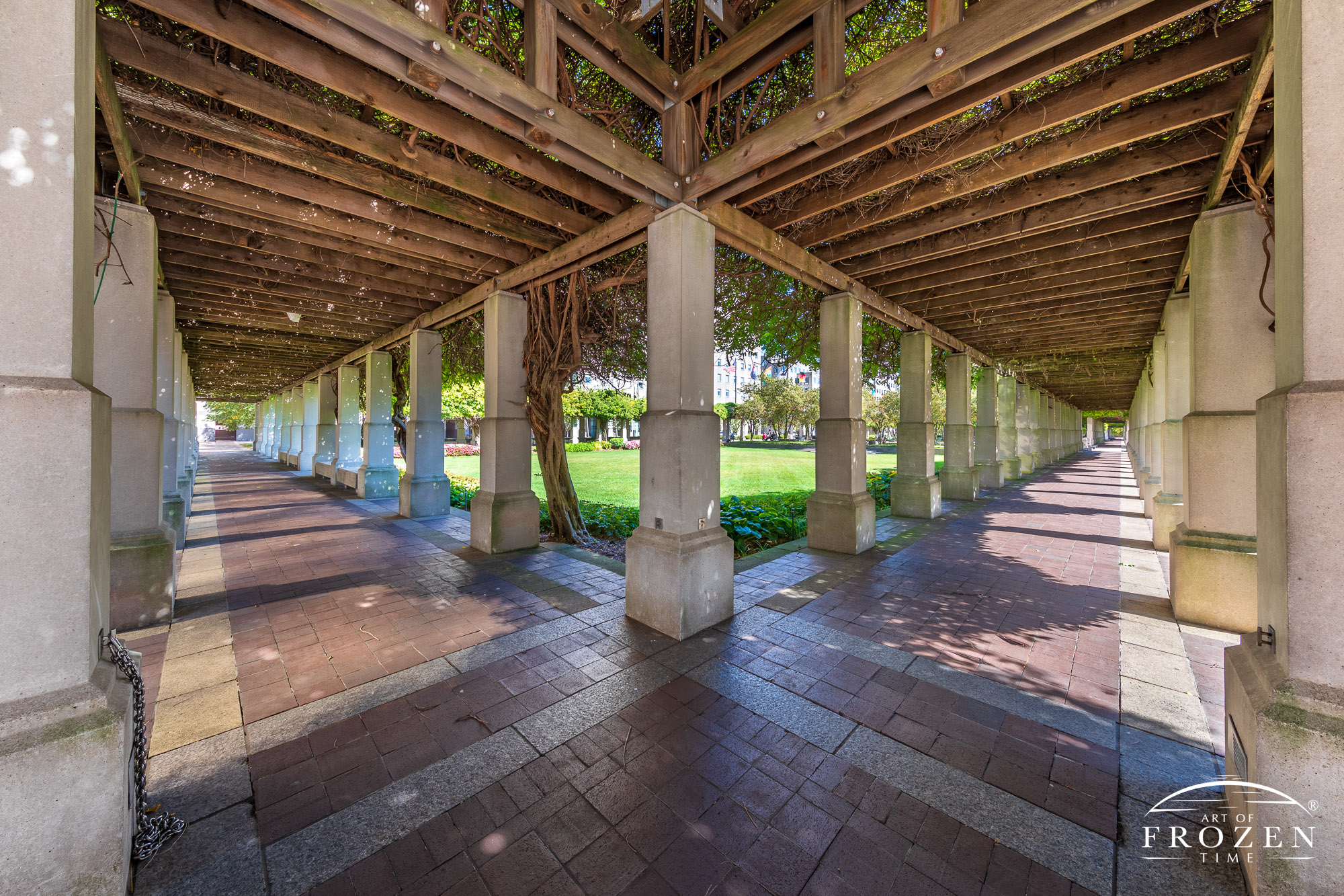 P&G Lawn Park in Cincinnati entails wisteria-covered pergolas which stretch for several hundred feet making for long shaded walkways outside Procter & Gamble Headquarters.