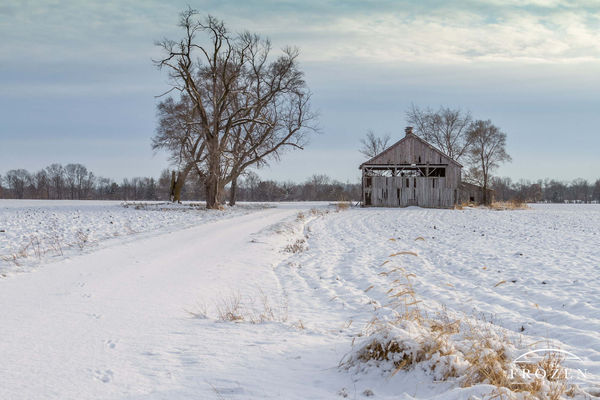 An old barn and shed in Miami County Ohio stands in a field covered with a blanket of snow creating a nostalgic scene