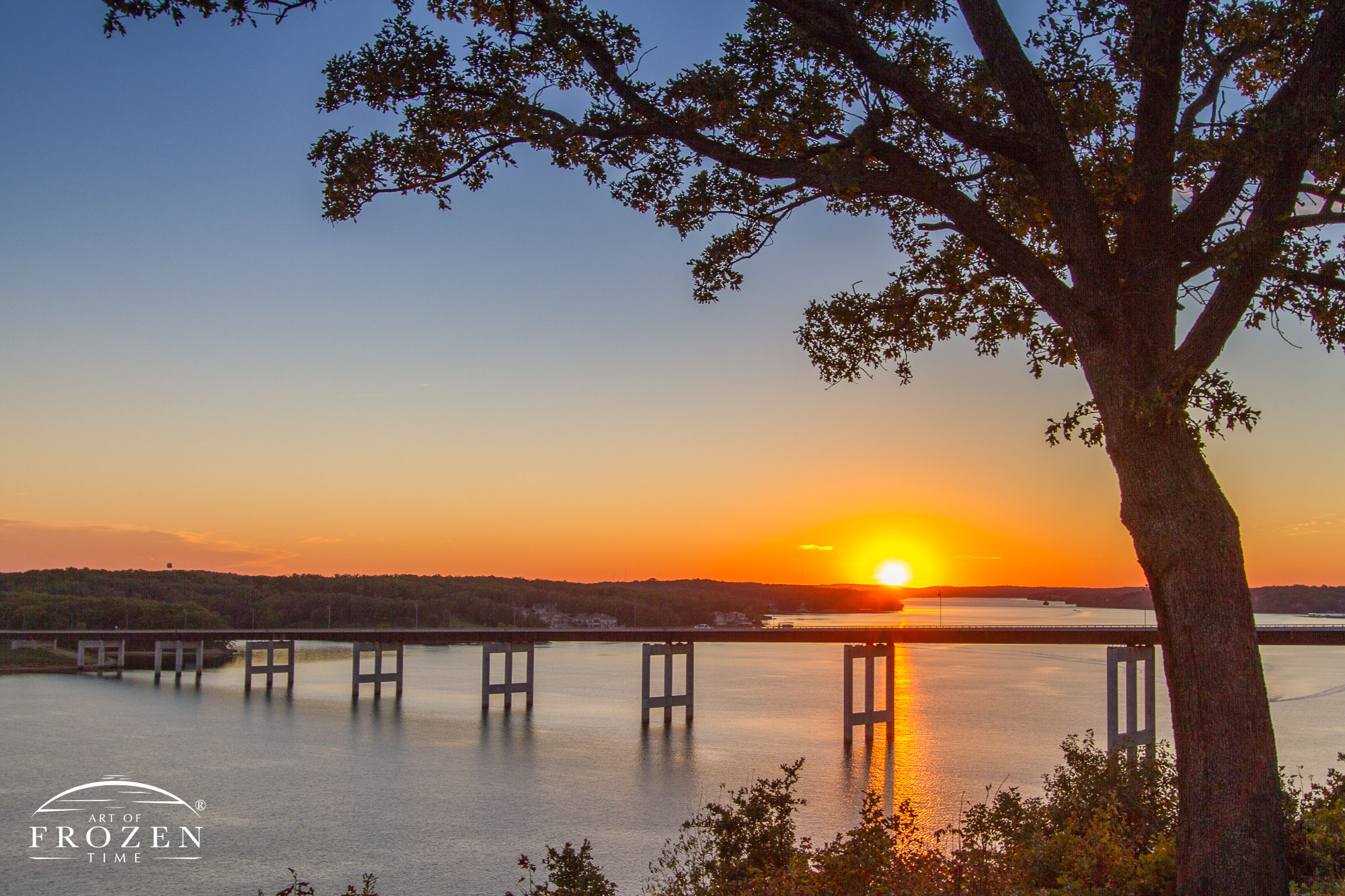 A sunset image where the Lake of the Ozarks Community Bridge and an oak tree serve as silhouettes to a golden Missouri sunset