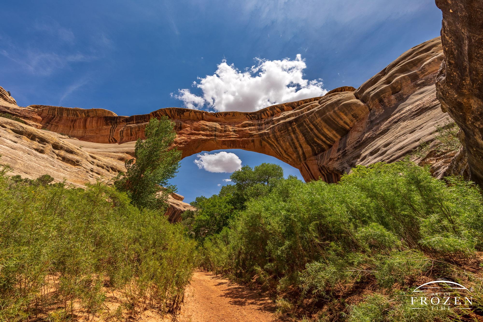 View of the Sipapu Natural Bridge from inside Natural Bridges National Monument where the stone arch spans the blue skies