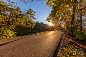 This westward road aligns with the setting sun where the golden light warmly backlights trees which line both sides of the parkway
