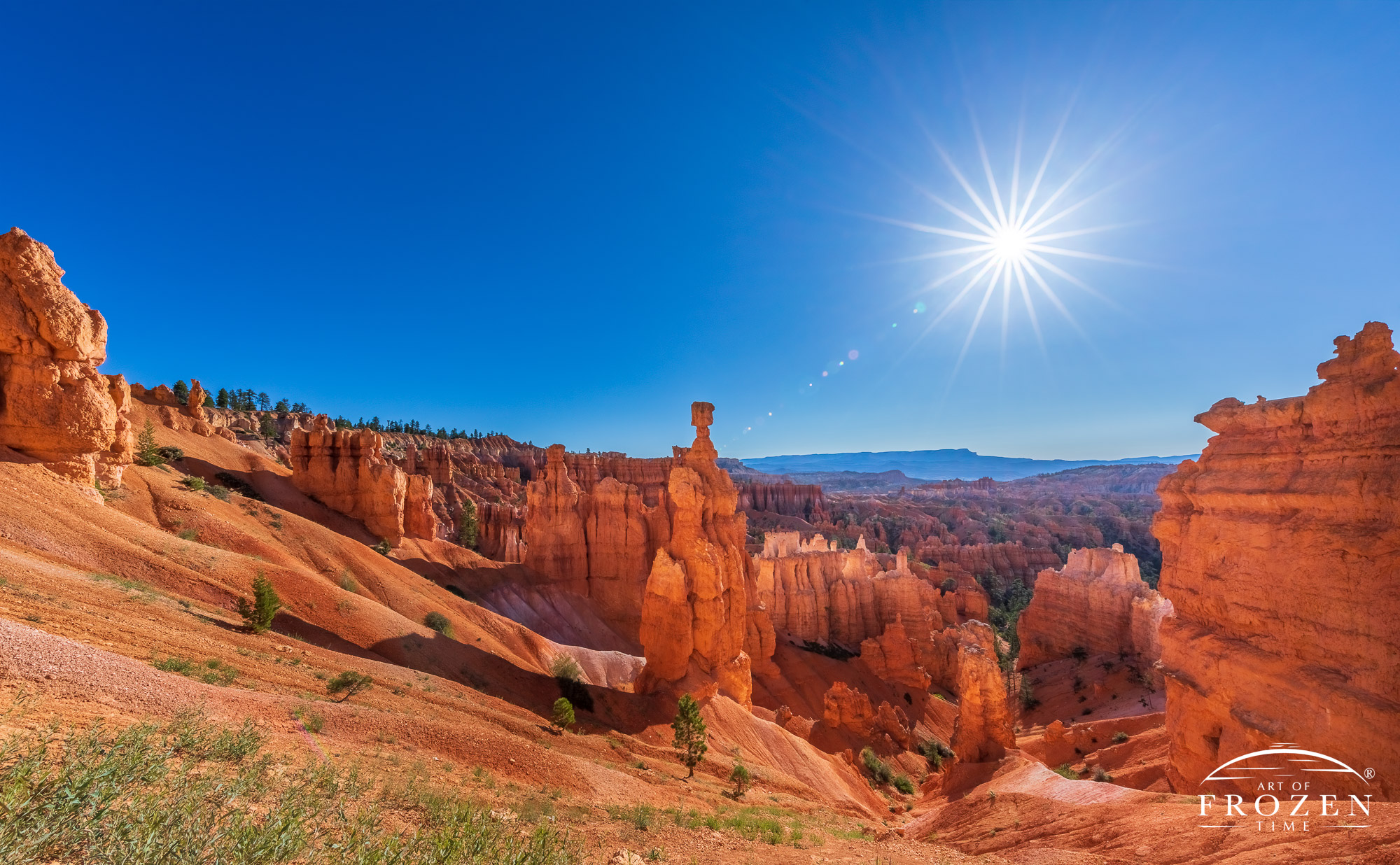 A view of one Bryce Canyon’s hoodoos called Thor’s Hammer which basks in the morning light under blue skies.