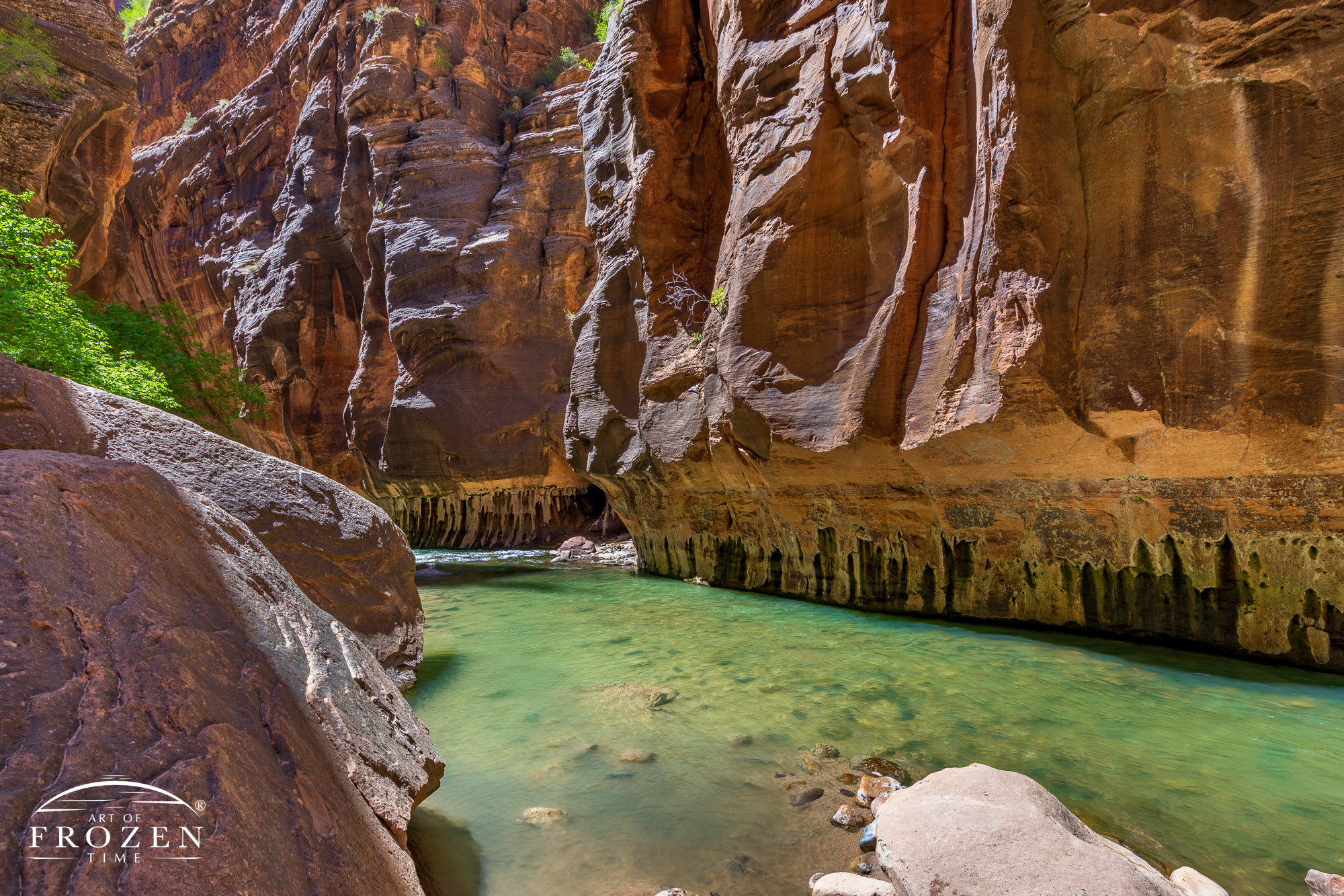 The Zion Narrows where the emerald-colored Virgin River flows around large red sandstone boulders