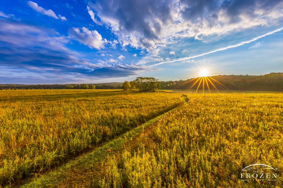 An enchanting sunrise over Morris Reserve in Sugarcreek Township where golden light backlights the golden rod as a footpath cuts through the Ohio prairie.