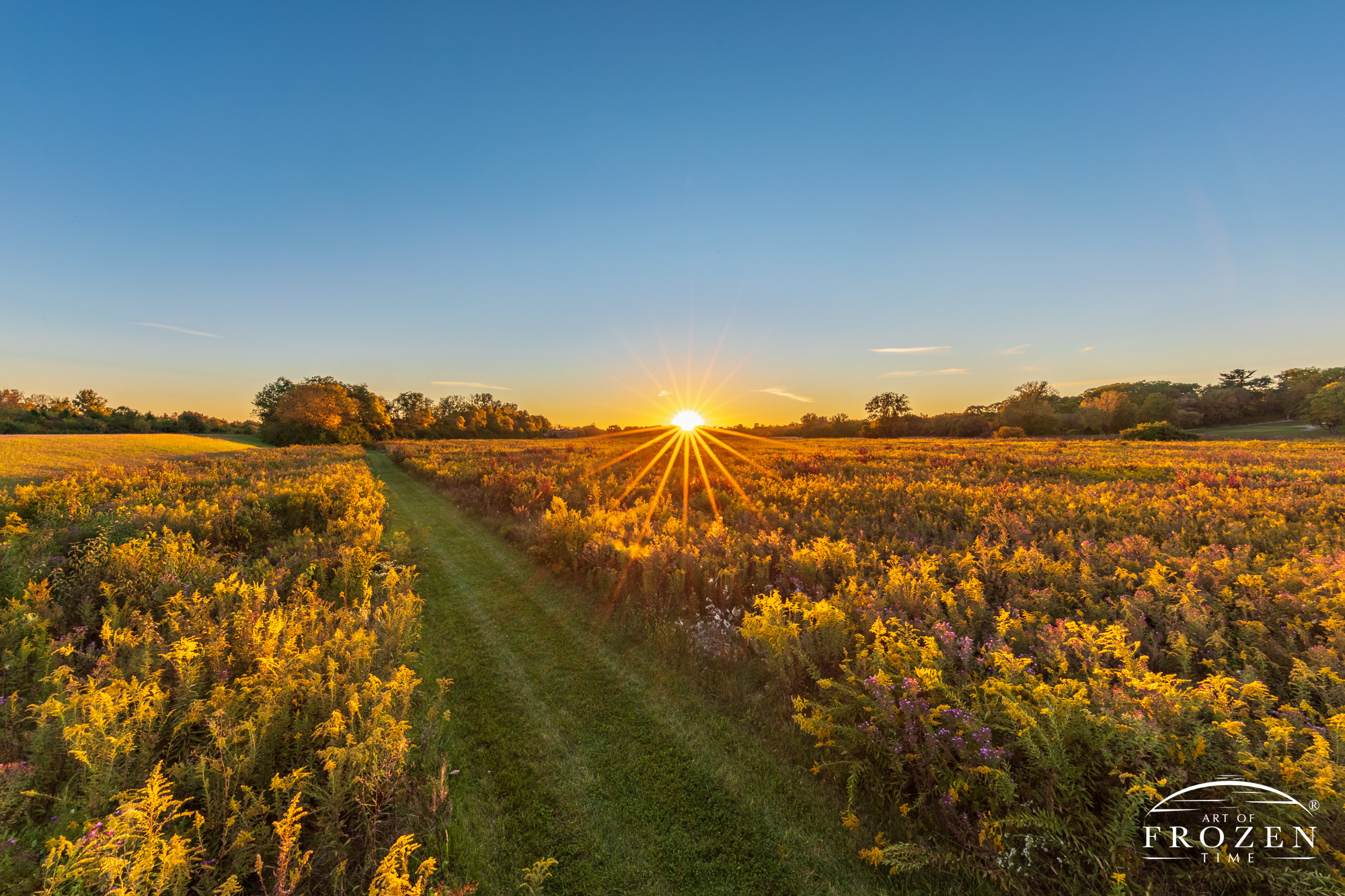 The setting sun paints the Battle of Peckuwe Historical Battlesite as the golden rays backllight the Ohio Golden Rod and a path leads the eye towards the Davidson Interpretive Center.