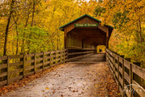 Knox County Ohio’s Bridge of Dreams on a fall day with an Amish horse and buggy entering the covered bridge