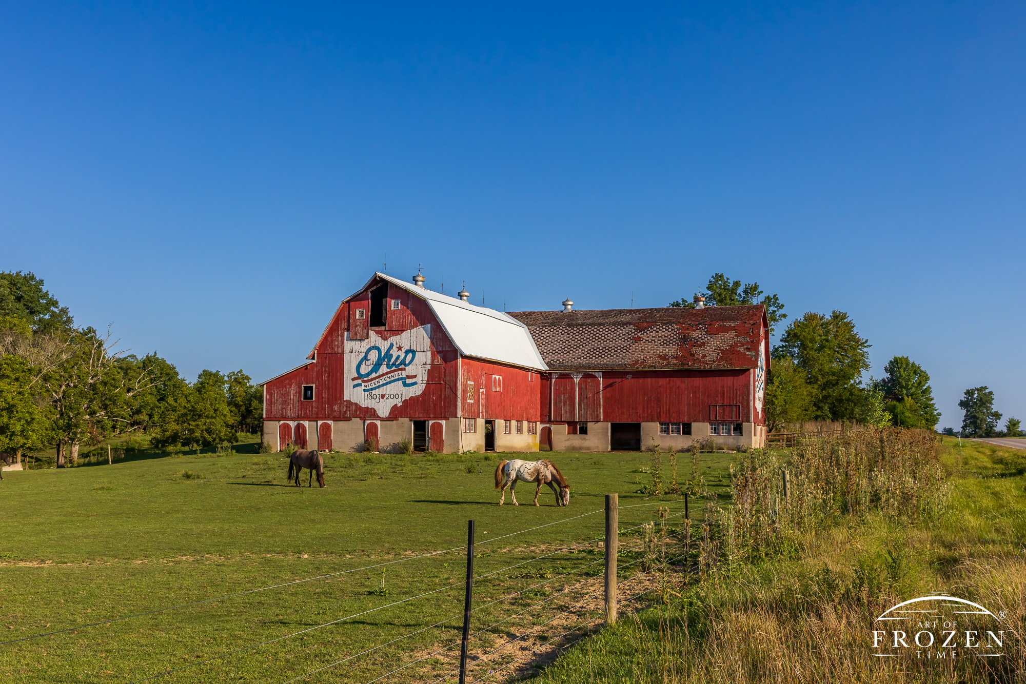 A unique L-shaped barn created by merging two separate barns over a 100 years ago. The barn features two Ohio Bicentennial logos as it continues to serve as horse stables. On this summer morning, both logos bask in the warm light.