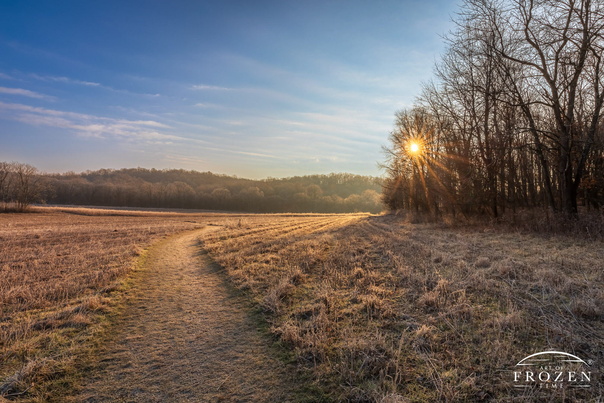 Golden light washes over a prairie trail following a frosty winter sunrise at Morris Reserve, near Bellbrook, Ohio