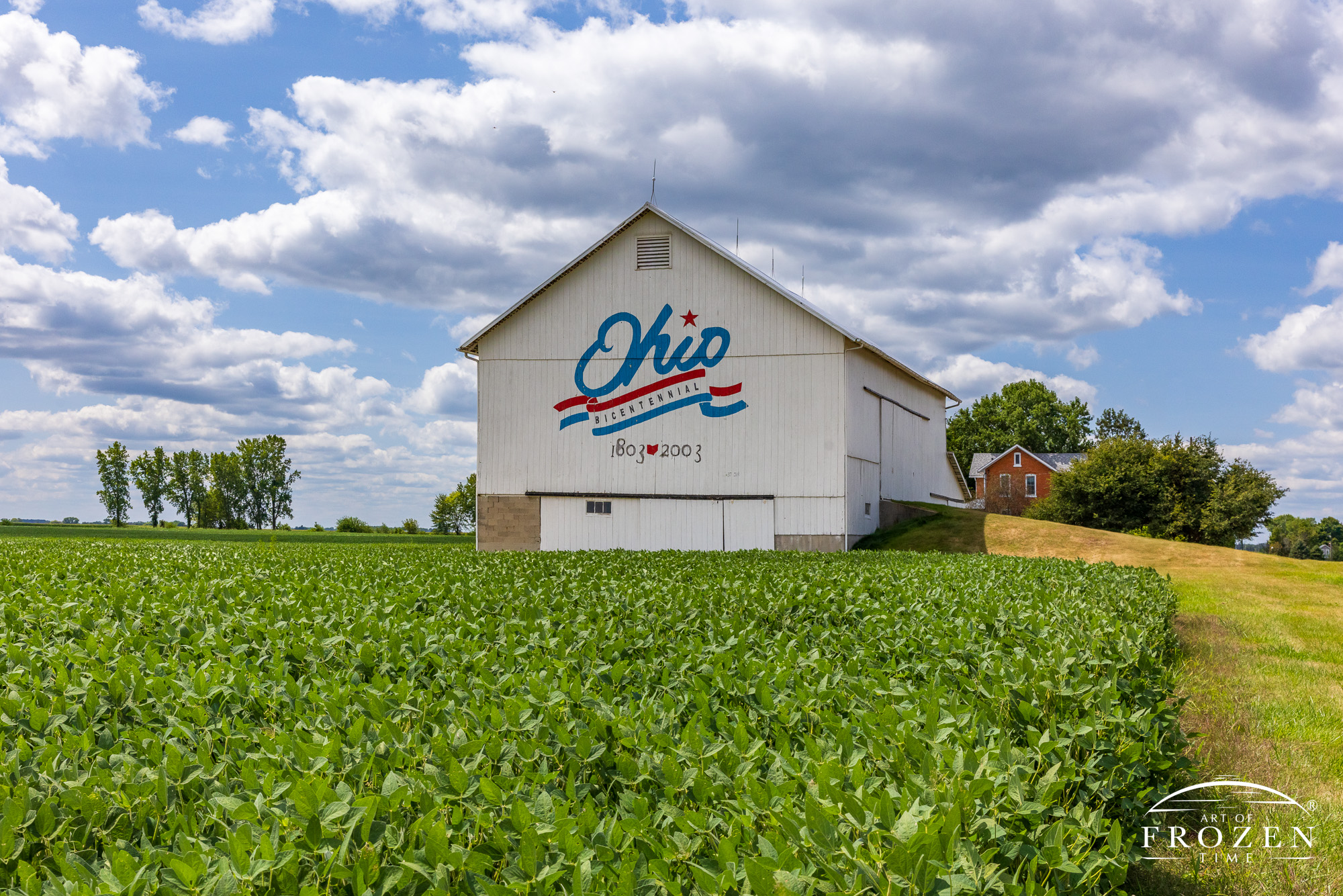 A well-maintained white barn that stands as Fulton County Bicentennial Barn. The bank barn is surrounded by flat fields of soy beans as cumulous clouds float just overhead.