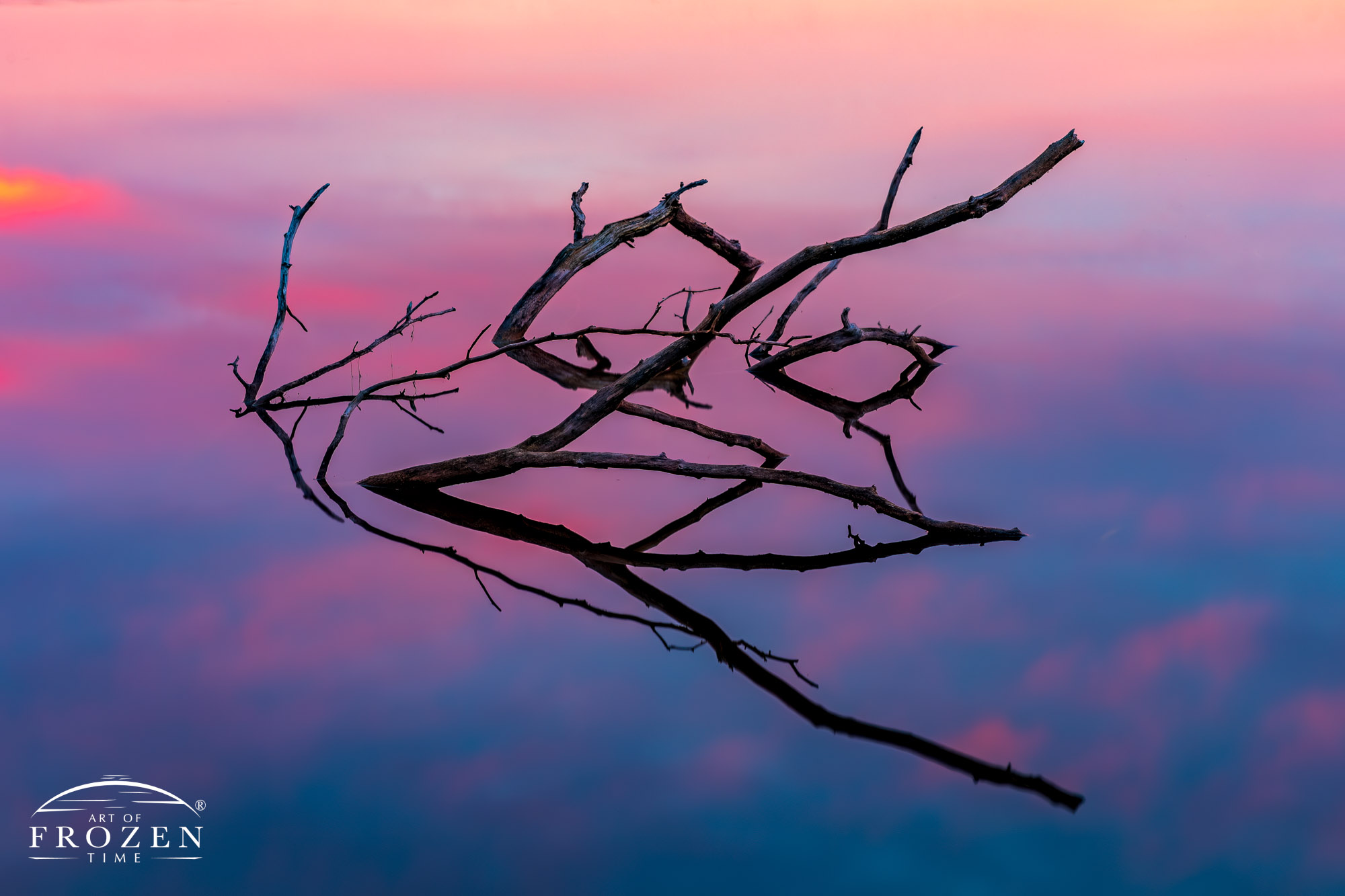 Ohio Fine Art Photography where a submerged tree's branches create interesting silhouettes and composition during a fiery sunrise.