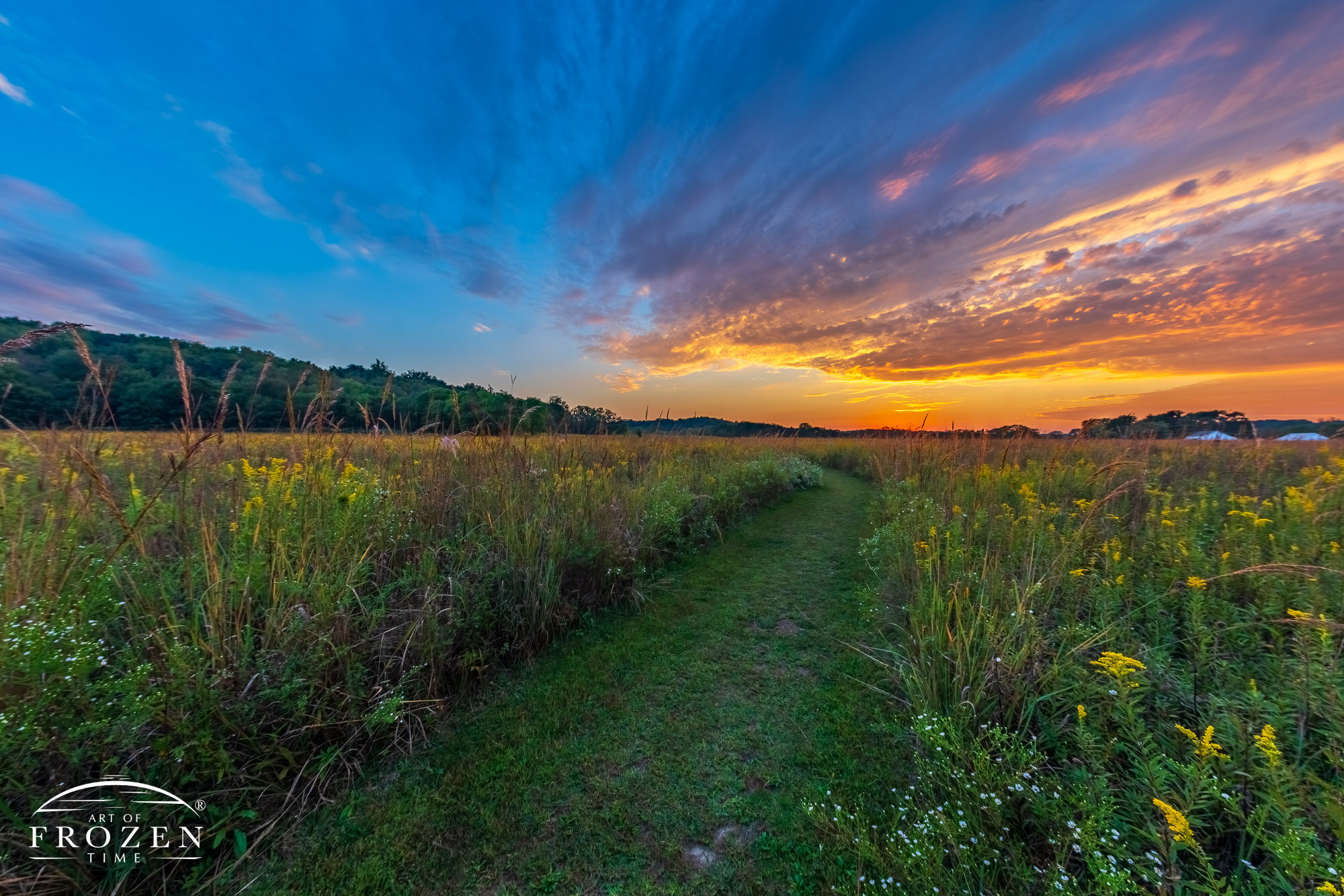 Landscape Fine art photography featuring a footpath meandering through the tallgrass prairie of Morris Reserve under colorful Ohio skies.
