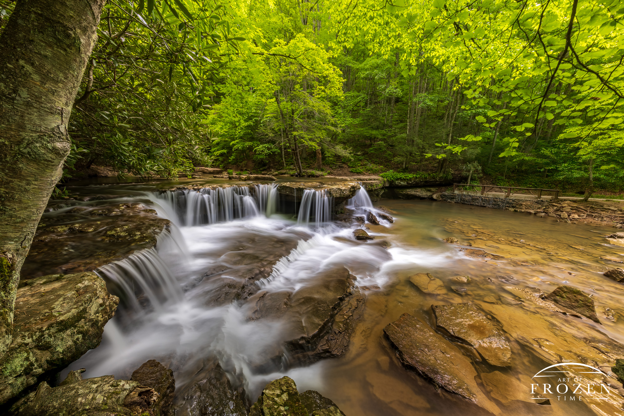 Fine art print of West Virginia's Mash Fork Falls on a peaceful spring day, where soft, diffused light created a meditative moment.